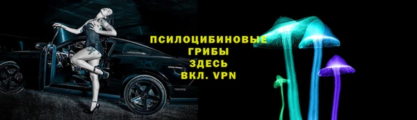 крисы Ладушкин