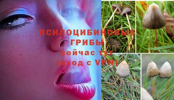 мефедрон Лабытнанги