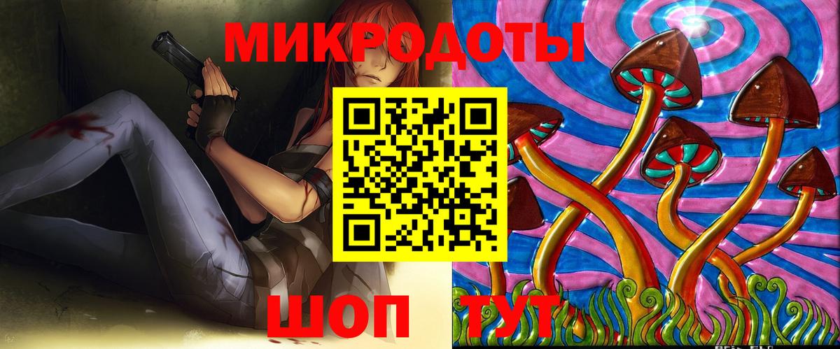 Псилоцибиновые грибы Psilocybe Дюртюли