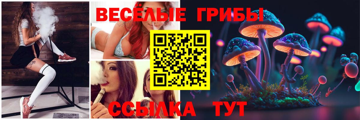 Дюртюли  Галлюциногенные грибы прущие грибы  Вход с VPN 