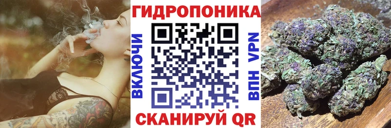 наркота  Дюртюли  Бошки марихуана ГИДРОПОН 