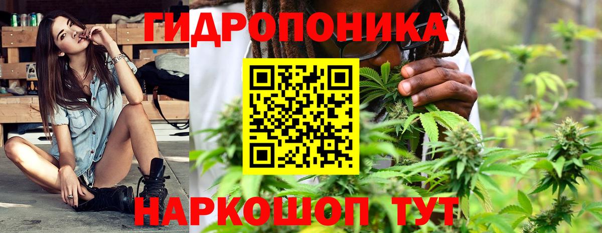 Шишки марихуана White Widow Дюртюли